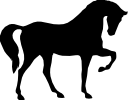 Ilustrační foto